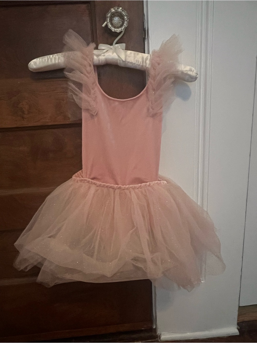 Zara Pink Tulle Ballet Costume with Sparkle Skirt and velvet body. Unworn